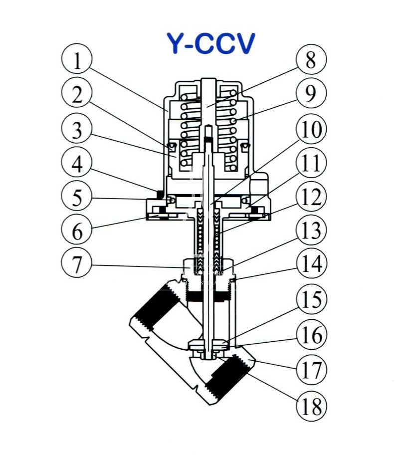 YCCV1